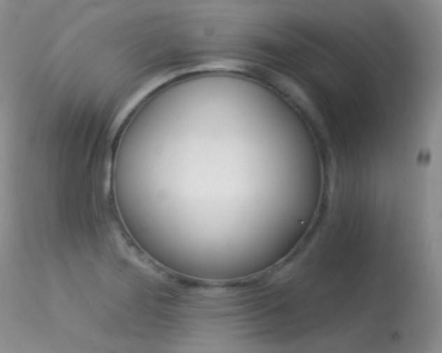 X0000113611276200909181042