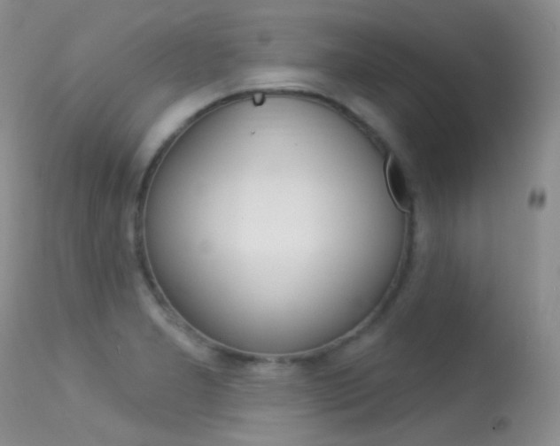 X0000113611277200909181042