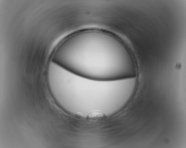 X0000113611279200909181042