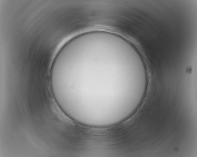 X0000113611280200909181042