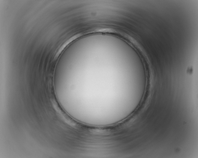 X0000113611281200909181042