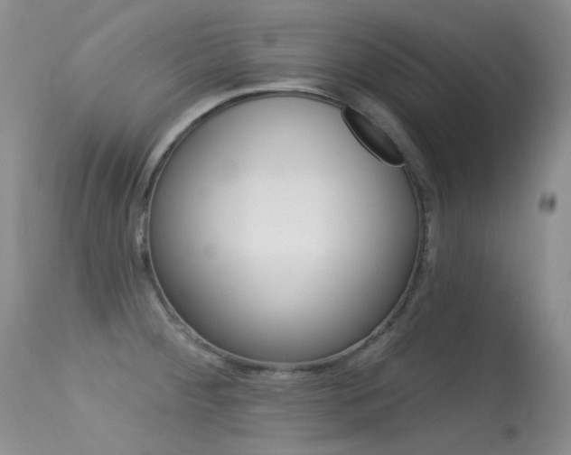 X0000113611284200909181042