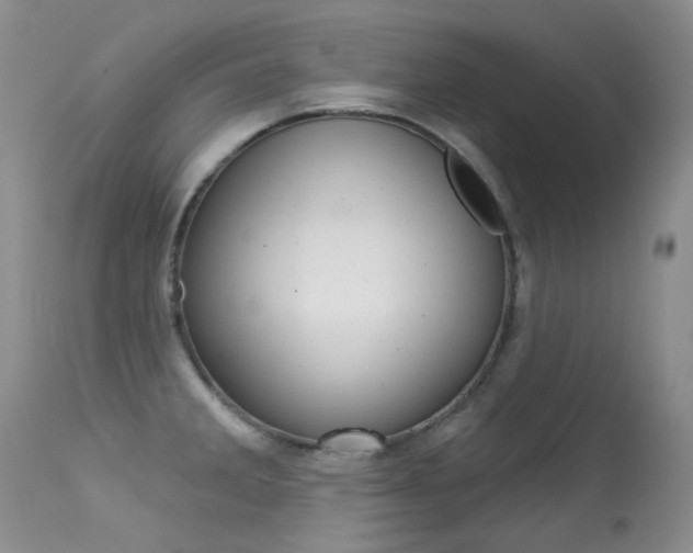 X0000113611285200909181042