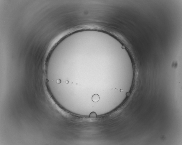 X0000113611286200909181042