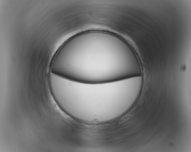 X0000113611287200909181042