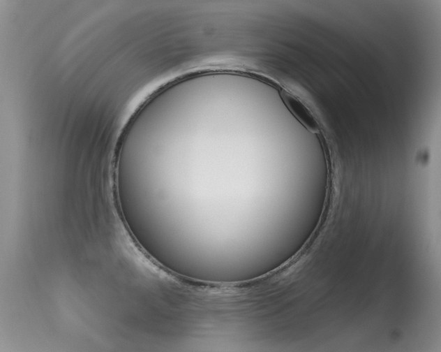X0000113611288200909181042