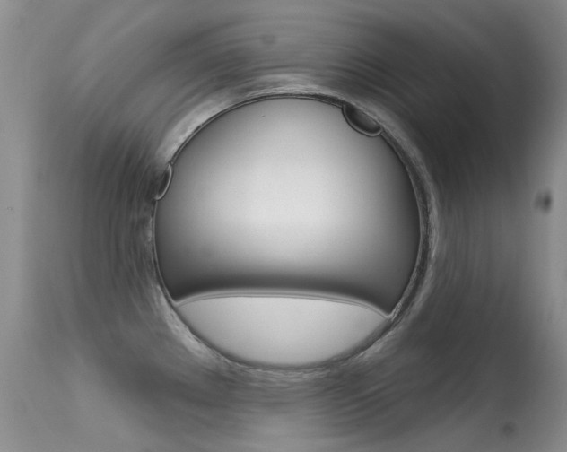 X0000113611289200909181042