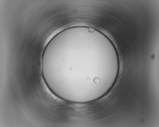 X0000113611290200909181042