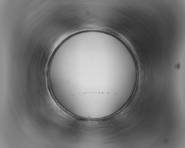 X0000113611291200909181042