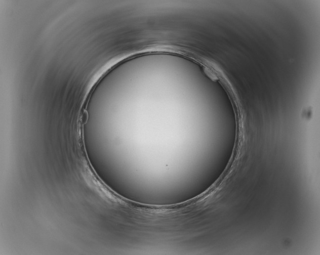 X0000113611292200909181042