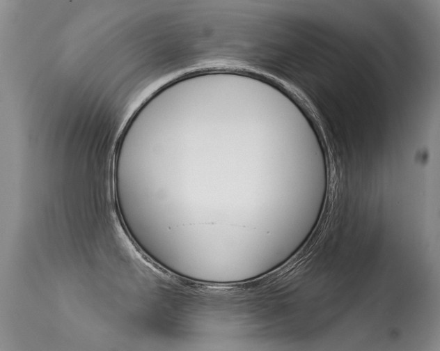 X0000113611295200909181042