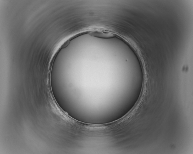 X0000113611296200909181042