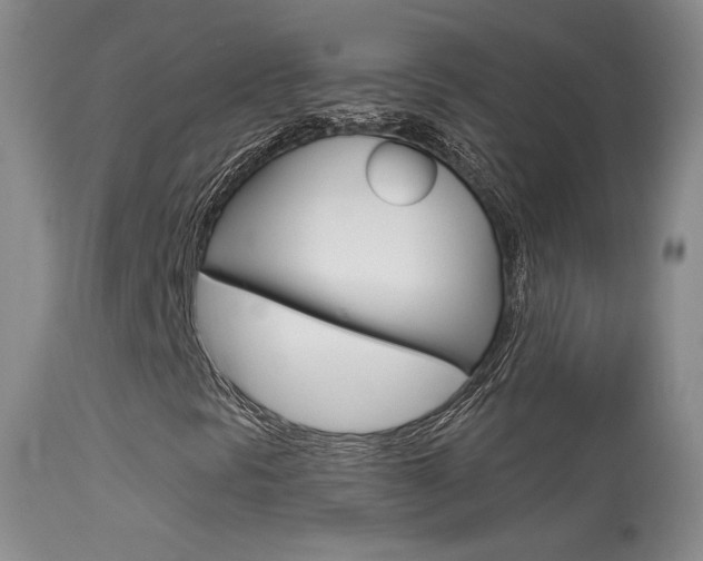 X0000113611297200909181041