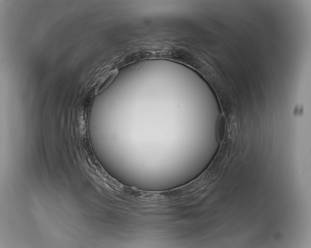 X0000113611298200909181041
