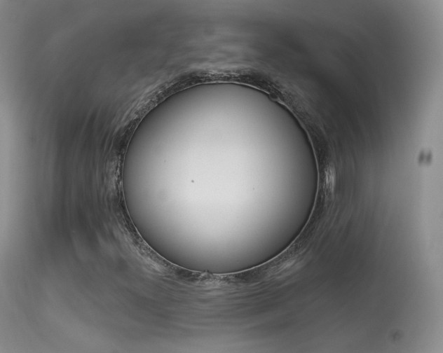 X0000113611300200909181041