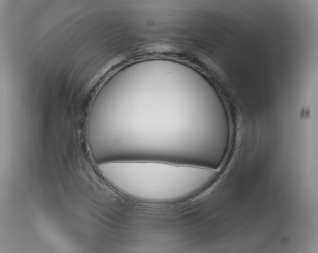 X0000113611305200909181042