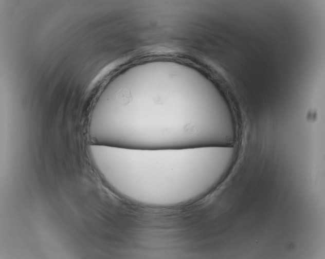 X0000113611306200909181042