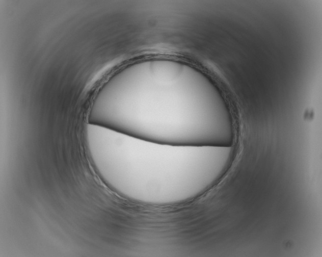 X0000113611307200909181042
