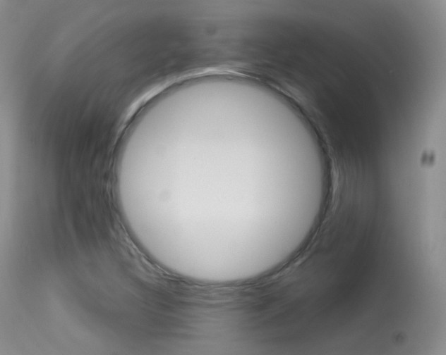 X0000113611308200909181042