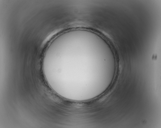 X0000113611309200909181042