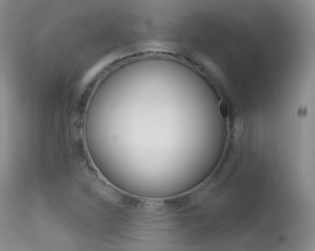 X0000113611310200909181042