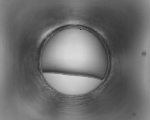 X0000113611311200909181042
