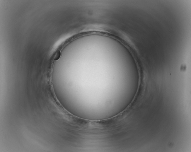 X0000113611312200909181042