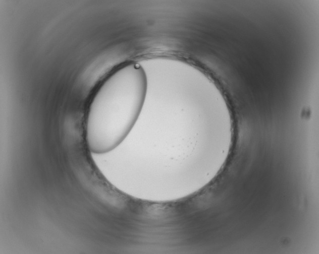X0000113611314200909181042
