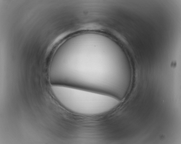 X0000113611315200909181042