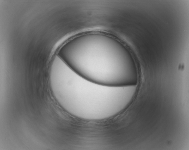 X0000113611316200909181042