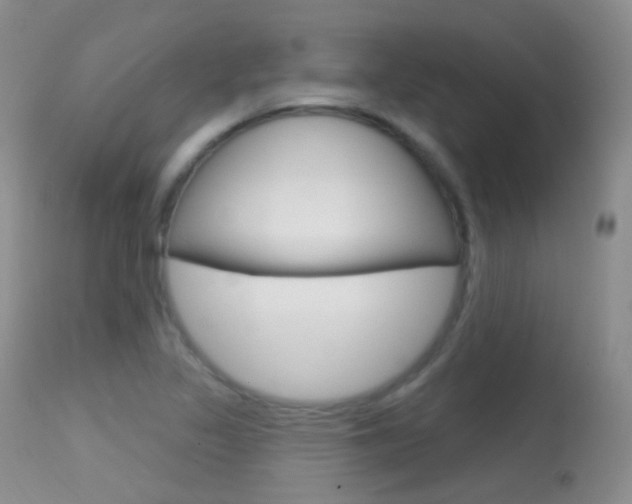 X0000113611317200909181042