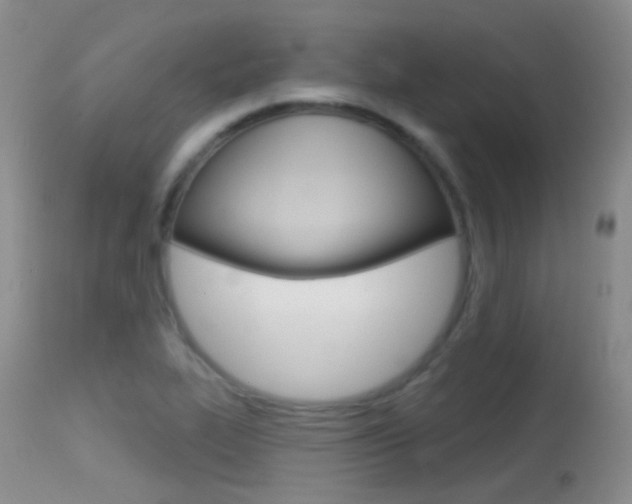 X0000113611319200909181042