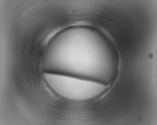 X0000113611321200909181042
