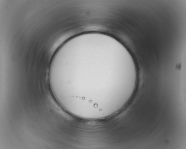 X0000113611322200909181042