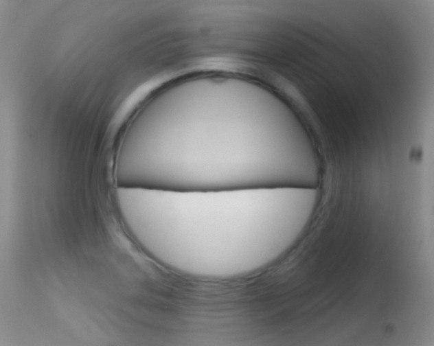 X0000113611323200909181042