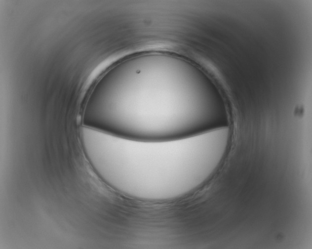 X0000113611324200909181042
