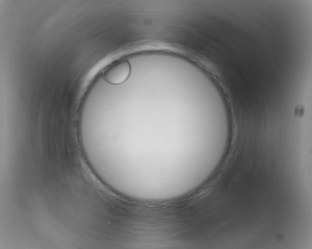 X0000113611326200909181042