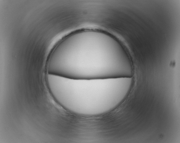 X0000113611327200909181042