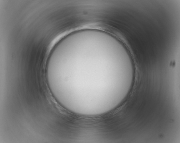 X0000113611328200909181042