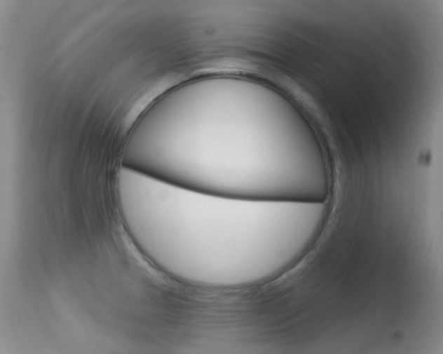X0000113611329200909181042