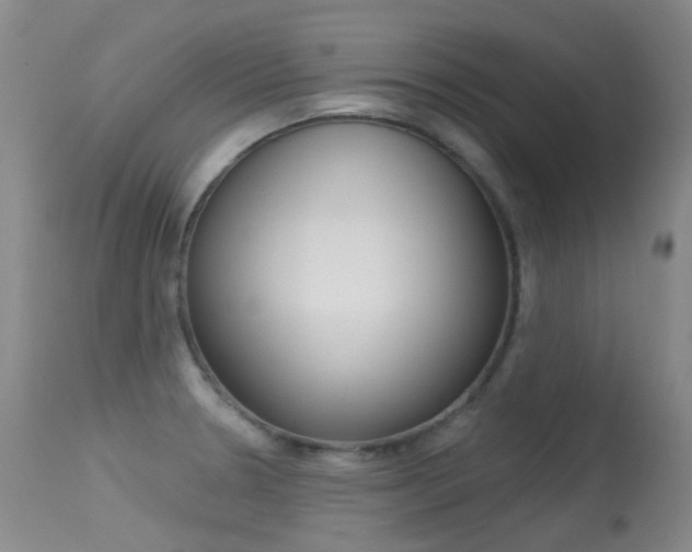 X0000113611330200909181042