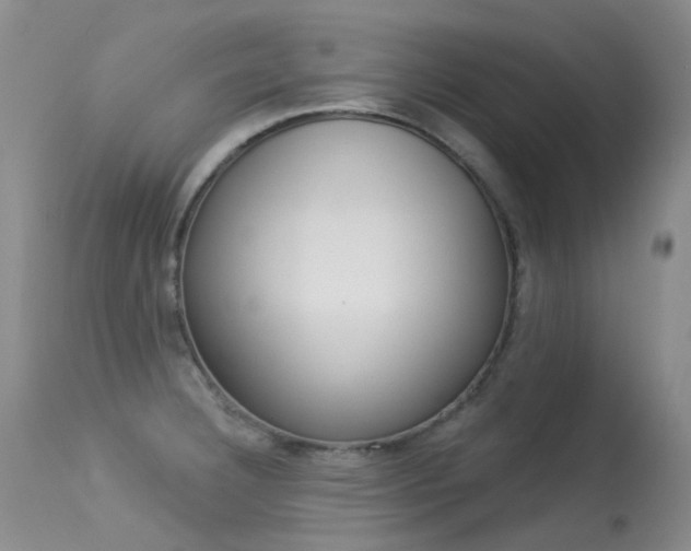 X0000113611332200909181042