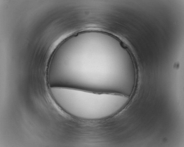 X0000113611333200909181042