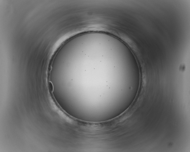 X0000113611334200909181042