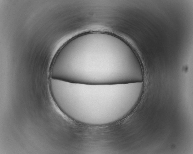 X0000113611335200909181042