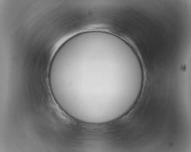 X0000113611336200909181042