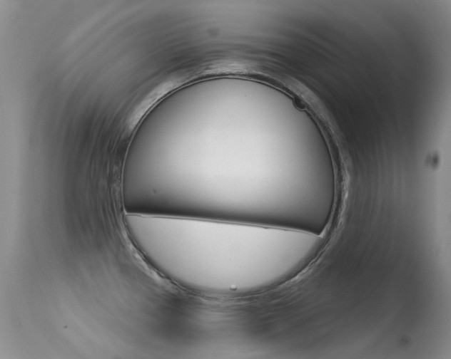 X0000113611337200909181042