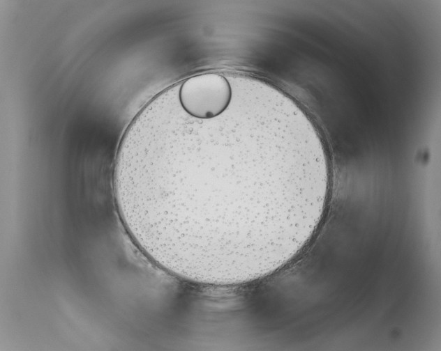X0000113611338200909181042