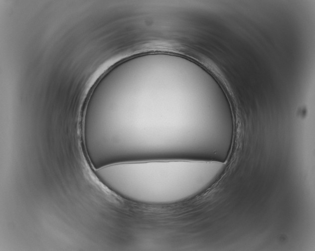 X0000113611339200909181042