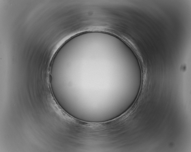 X0000113611340200909181042